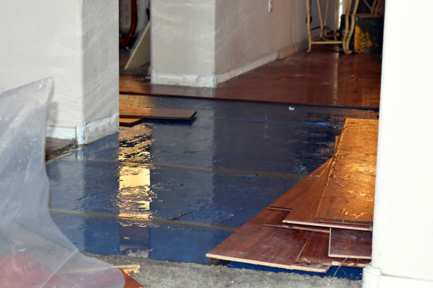 Professional Sewage Cleanup technician working in Centerview, MO